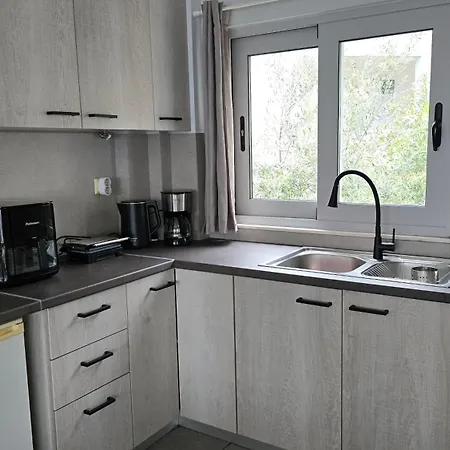 Lefkada Unique Sea View 公寓 *